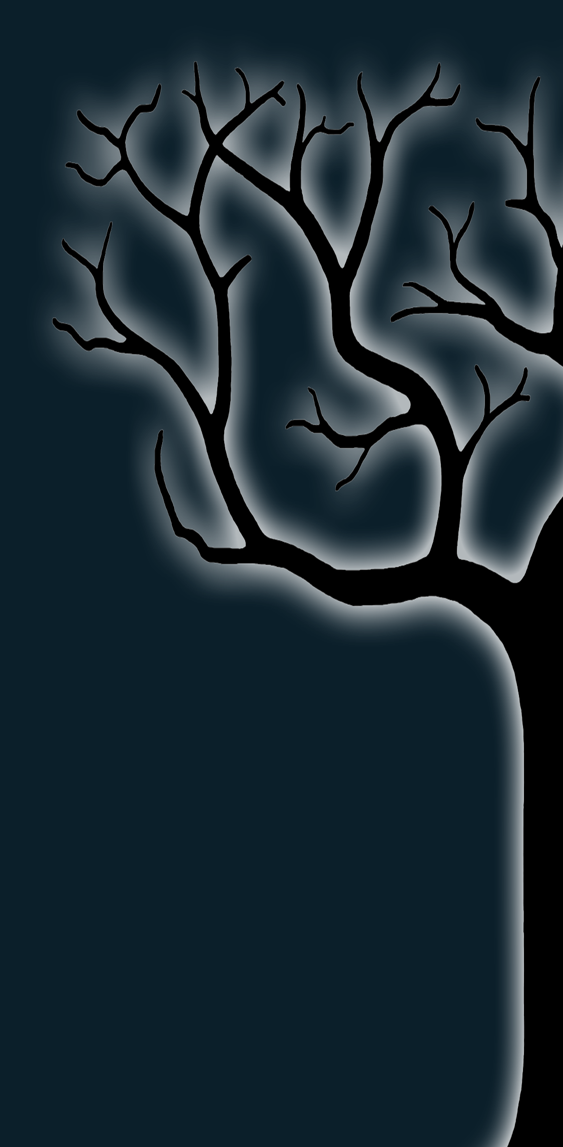 picture of night tree